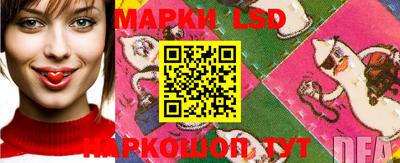 скорость Новозыбков