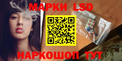 крисы Новокубанск