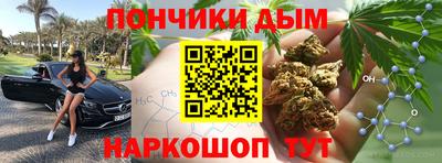 крисы Новокубанск