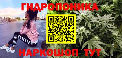 скорость Новозыбков