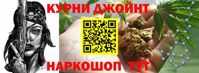скорость Новозыбков
