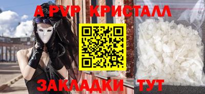 крисы Новокубанск