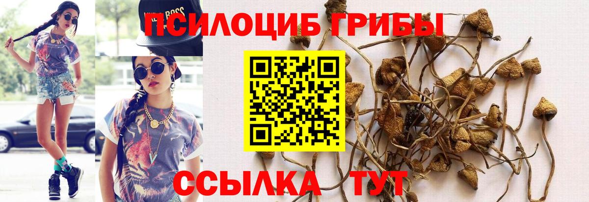 Галлюциногенные грибы Cubensis Улан-Удэ