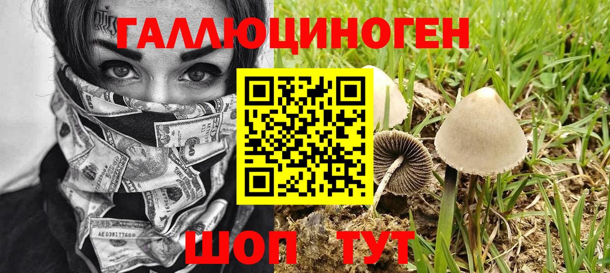 Улан-Удэ  закладка  Вход с VPN  Псилоцибиновые грибы ЛСД 